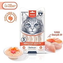 Nacario Wanpy Digestive Health Somon Balığı&tavuk 12'li-F.krema Ödül 5X14GR