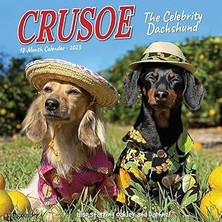 Nacario Crusoe The Celebrity Dachshund 2023 Duvar Takvimi