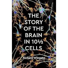 Nacario The Story Of The Brain In 10½ Cells