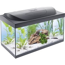 Nacario Tetra Starter Line 54 L Akvaryum Komple Set – Gündüz Gece Lambası LED Aydınlatma, Iç Filtre, Isı