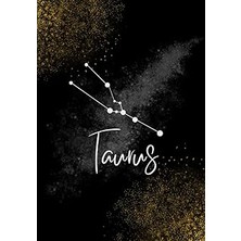 Nacario Taurus Journal
