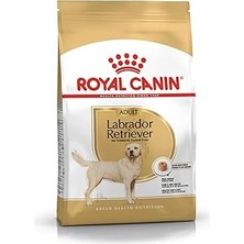 Nacario Labrador Retrıever Adultköpek Maması, 12 kg