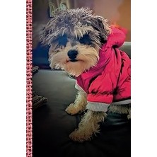 Nacario Blank Journal: Puppy Cuteness Cover