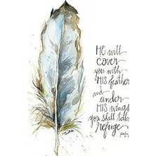 Nacario He Shall Cover You With His Feathers: Psalm 91:4 Journal