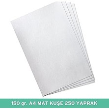 Nacario Umur 150 gr A4 Mat Kuşe Kağıt, 250 Yaprak