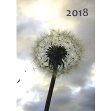 Nacario Großer Tagebuch Kalender 2018 - Pusteblume: Din A4 - 1 Tag Seite