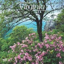 Nacario Virginia Wild & Scenic 2025 12 x 24 Inch Monthly Square Wall Calendar Plastic-Free