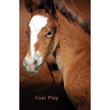 Nacario Pocket Password Book (Foal Play): A Discreet Password Log Book For People Who Love Horses (Disguise
