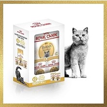 Nacario Adult Yetişkin British Shorthair 2 kg + Yetişkin British Shorha
