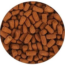 Nacario Tropical Line Fish Kovadan Bölme 100GR
