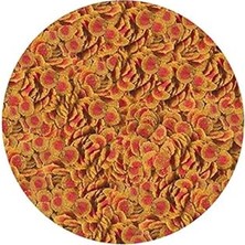 Nacario Tetra Colour 100GR Balık Yemi Kovadan Bölme