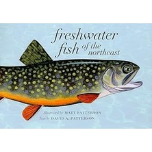 Nacario Freshwater Fish Of The Northeast