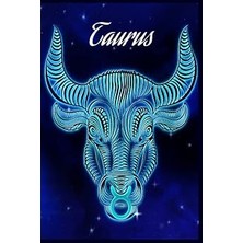 Nacario Taurus Journal