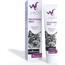 Nacario Multivitamin Cat Paste 100 gr (Kediler Için Multivitamin Macunu)