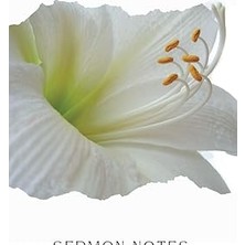 Nacario Sermon Notes Journal