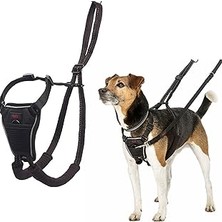 Nacario Company Of Animals Halti Çekme Önleyici Göğüs Tasması, Küçük Boy