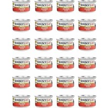 Nacario Gimcat Shinycat Broth (Sos Içinde) Somon Balıklı Konservesi 70GR x 24 Adet