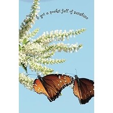 Nacario Butterfly Planner: A Planner With Butterflies On It's Cover