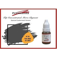 Nacario Fontenay Permania Kalıcı Makyaj Boyası Kaş Boyası Sis Grisi 10ML Sis Grisi