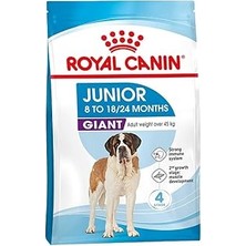 Nacario Giant Junior Maması, 15 kg