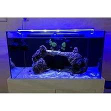 Nacario Orionled Akvaryum LED Aydınlatma 80CM