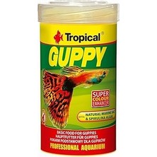 Nacario Tropical Guppy 100ML 20GR Lepistes Için Pul