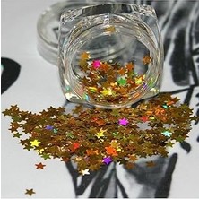 Nacario Tırnak Süsleme Işığı Yansıtan Parıltılı Yıldız Desenli Pul Nail Gold, 21