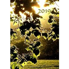 Nacario My Big Fat Calendar 2019 - Leaves In The Sun (Gb & Us) - 1 Day Per Page, Din A4