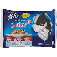 Nacario Felix Yavru Avantajlı Paket 4X85 gr