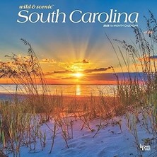 Nacario South Carolina Wild & Scenic 2025 12 x 24 Inch Monthly Square Wall Calendar Plastic-Free