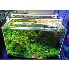 Nacario Orionled Akvaryum LED Aydınlatma Beyaz 90CM 6500K