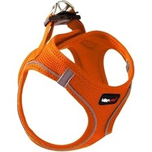 Nacario Leon Pet Air Mesh Turuncu Göğüs Tasması Large
