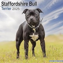 Nacario Staffordshire Bull Terrier Calendar 2025 | Square Dog Breed Wall Calendar - 16 Month