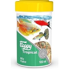 Nacario Floppy Tropical Mix Flake 100ML