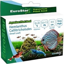 Nacario Eurostar Hemianthus Callitrichoides Akvaryum Bitkisi