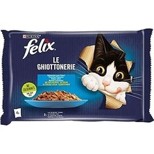 Nacario Felix Multipack Somonlu Ton Balıklı Yetişkin Yaş 4X85GR