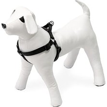 Nacario Karlie Kilitli Göğüs Tasma, Köpekler Için, Xs, 20-35 Cm, Siyah