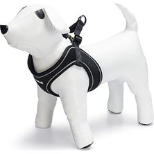 Nacario Beeztees Göğüs Tasması, Neopren, Siyah, Xs, 30-35CM