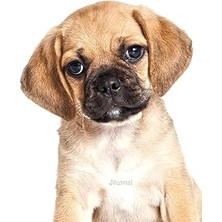 Nacario Journal: Puggle Puppy Notebook