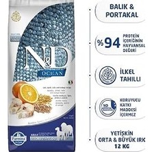 Nacario N&d Düşük Tahıllı Morina Balıklı Portakallı Yetişkin 12 kg