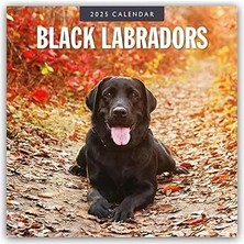 Nacario Black Labrador Retrievers – Schwarze Labrador Retriever 2025 – 16-Monatskalender: Red Robi