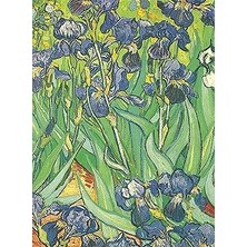 Nacario Van Gogh Notebook