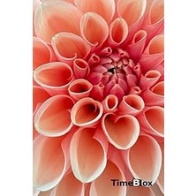 Nacario Timeblox: Daily Schedule Planner & Organizer