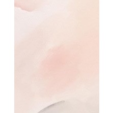 Nacario Independently Published Pastel Pink Journal