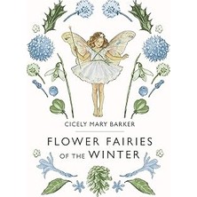 Nacario Flower Fairies Of The Winter