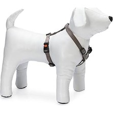 Nacario Karlie Kilitli Göğüs Tasma, Köpek, M, 45-70 Cm, Gri