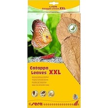Nacario Sera Catappa Yaprağı Xxl 32 cm