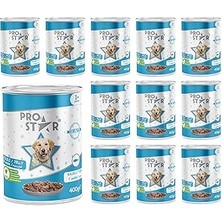 Nacario Prostar Yetişkin Balıklı Jöleli Konserve Mama 400 gr x 12 Adet