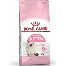 Nacario Kitten Yavru 10KG