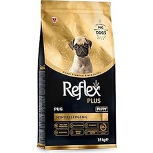 Nacario Pug Yavru 1,5 kg